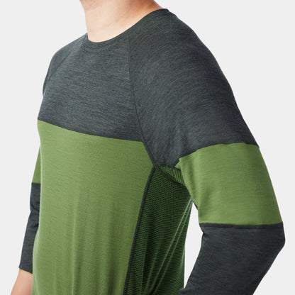 Charcoal-Fern Green