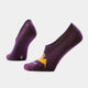 Purple Iris