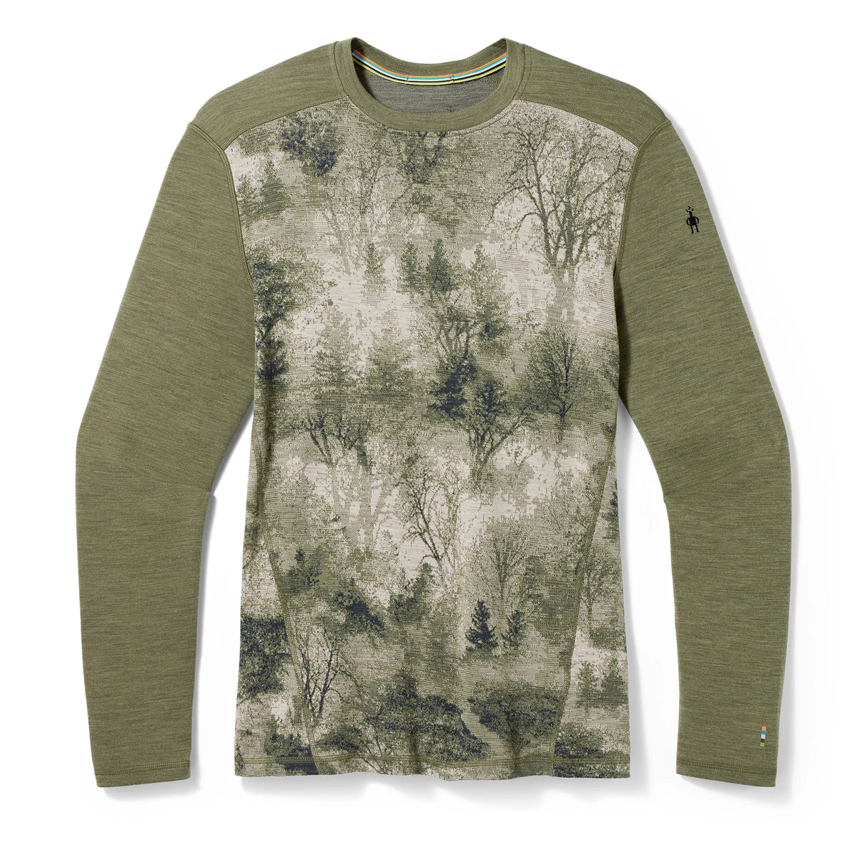 Winter Moss Forest