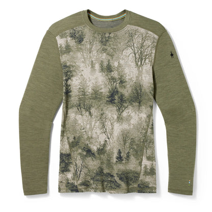 Winter Moss Forest