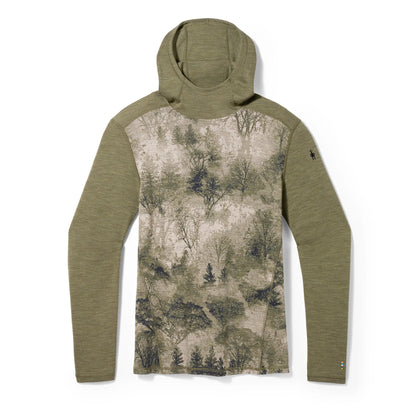 Winter Moss Forest