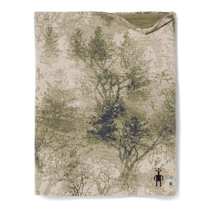 Winter Moss Forest